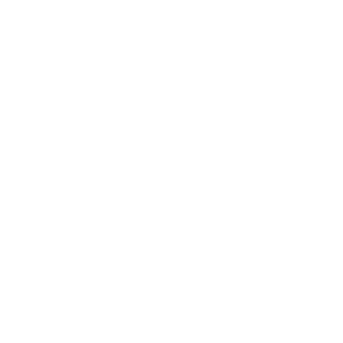 Flow Agency Logo